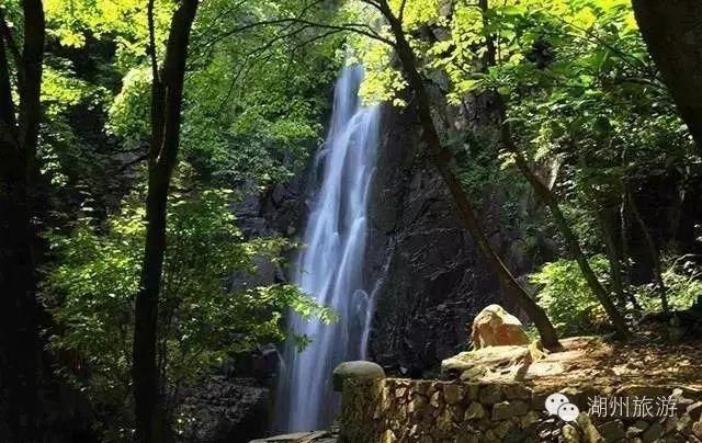 冬笋的“别致”吃法,开胃又下饭,螺蛳粉里必不可少