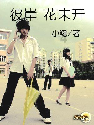 全国首个！厦门发布“单一窗口”数据服务地方标准