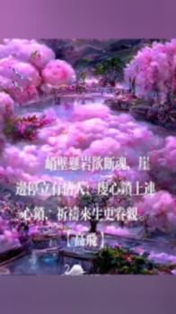 探探猫拼图